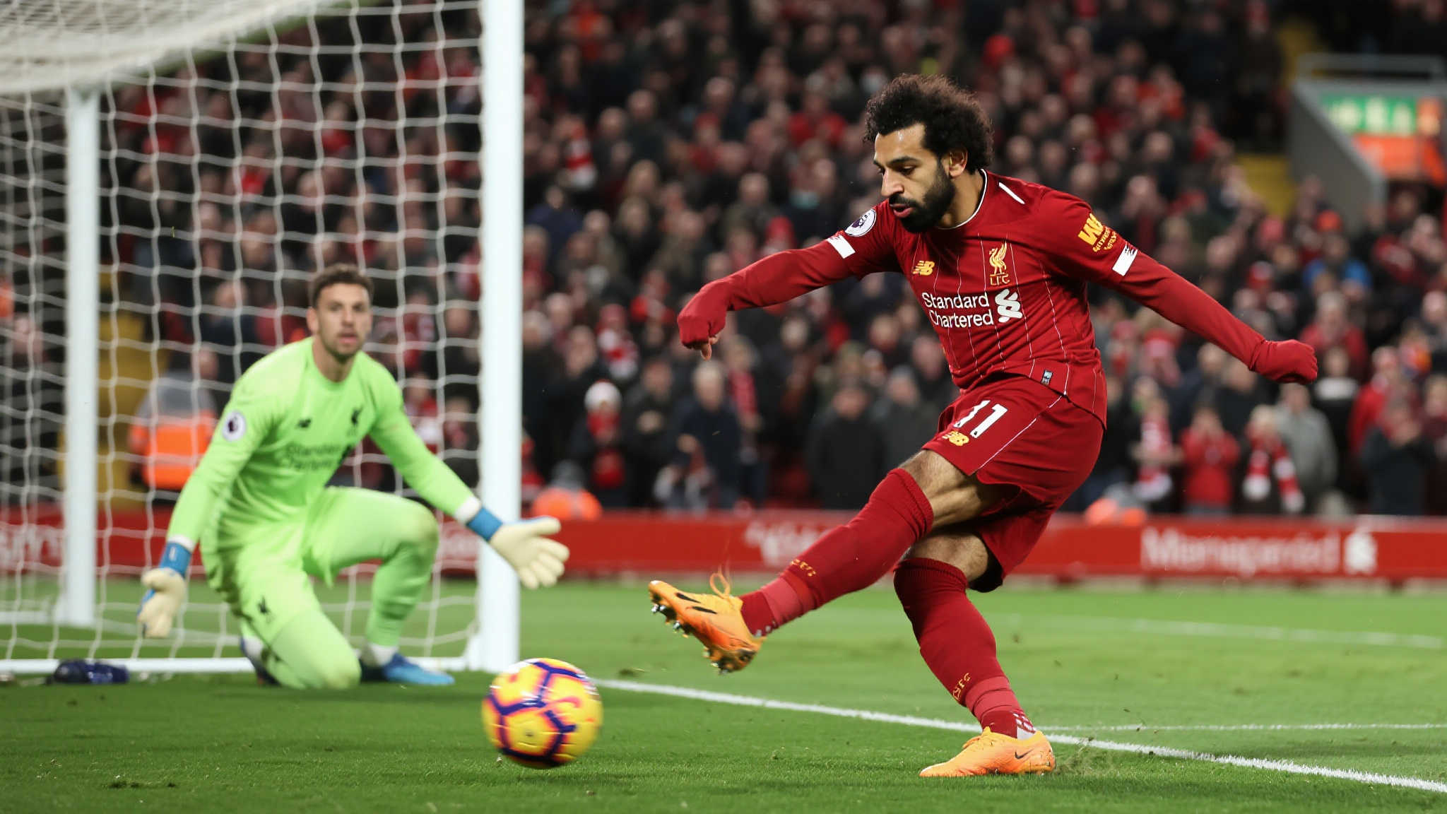 布努这一选 布努这一选